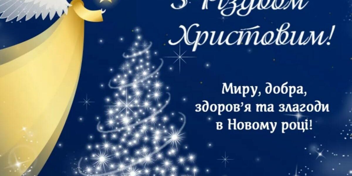 photo_5319051593343156586_y